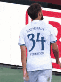 Sv Darmstadt 98 GIF