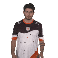 St Pauli No Sticker by Bundesliga