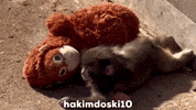 Punch Sad Monkey GIF