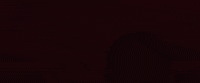 sabrina carpenter colors GIF by Hollywood Records