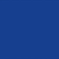 African American Election GIF by Creative Courage