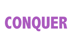 Crown Conquer Sticker by Queens of Pole Fitness & Dance