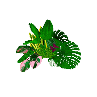 enterneverland crown leaves monstera neverland Sticker