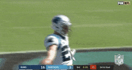 Carolina Panthers Football GIF by NFL
