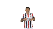 Tricolores Kingside Sticker by Willem II