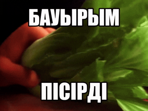 Қазақша Мемдер GIF