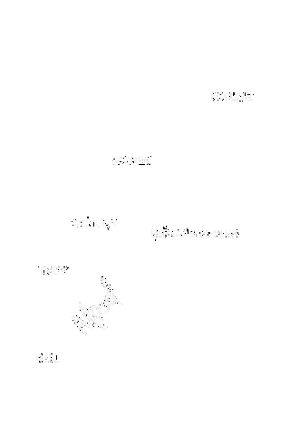 FaszinationMosel giphyupload Sticker