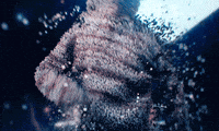 Linkin Park Lp GIF