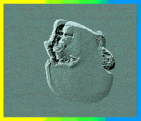 Art Loop GIF by kidmograph