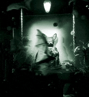 Halloween Dark GIF by Luis Ricardo