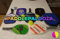 pickleballrookie pickleball paddles pickleball paddle GIF