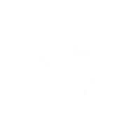Flower 花 Sticker
