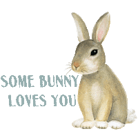 Easter Bunny Love Sticker by Jo Collier Designs
