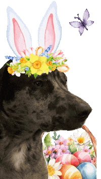 Dog Smile Sticker by Bespattered Facade