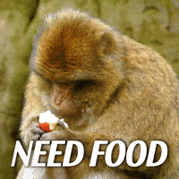 Hungry Mary Jane GIF by Sealed With A GIF