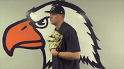 greg valentine cnbb GIF by Carson-Newman Athletics