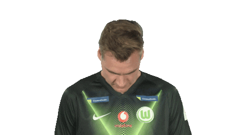 Vfl Wolfsburg Fifa Sticker by Bundesliga