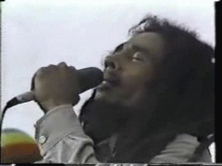 umutyakar giphyupload GIF