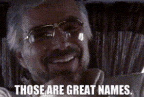 Burt Reynolds Great Name GIF by Chris Cimino