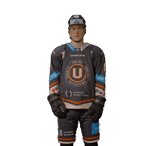 Uhk Sticker by UNIted HK