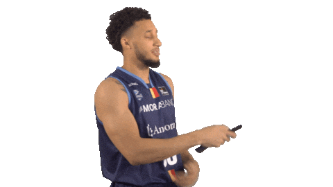Liga Endesa Basketball Sticker by ACB