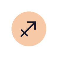 Zodiac Sign Fire Sticker by Sanctuary