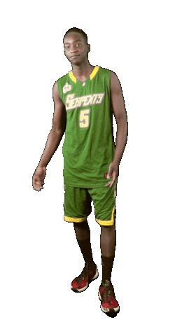 Basketball Clickhere Sticker by ACSL - Austrian College Sports League