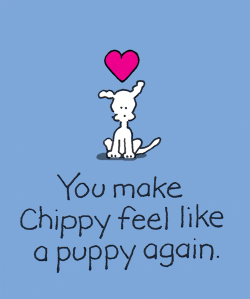 GIF by Chippy the dog