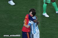 Fifa World Cup Argentina GIF