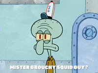 season 5 GIF by SpongeBob SquarePants