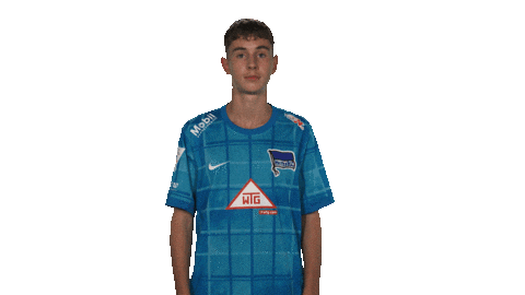 Berlin Vbl Sticker by Bundesliga