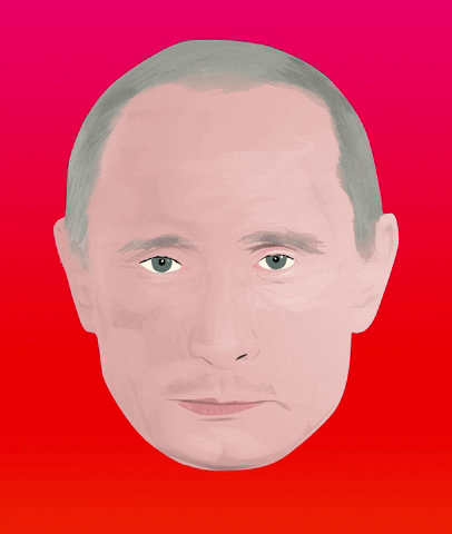 Vladimir Putin Wtf GIF