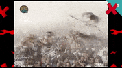 Xabarin Tvg GIF by TVGalicia