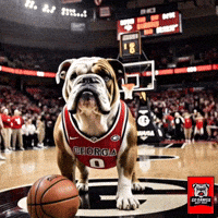 March Madness Basketball GIF by Go Dawgs Roof Roof