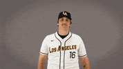 Cal State La Baseball GIF by Cal State LA Golden Eagles