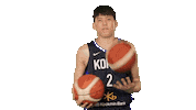 Game Basketball Sticker by FIBA