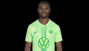 Germany No GIF by VfL Wolfsburg
