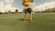 GIF by Michigan Athletics