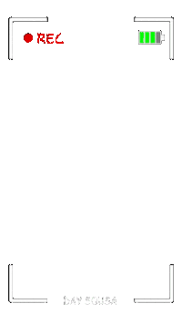 Camera Rec Sticker