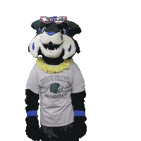 Thunder Bobcats Sticker by Georgia College