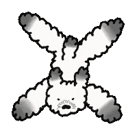 Dog No Sticker
