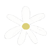 debimicol 2d flores flor margaritas Sticker