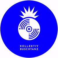 kollektivbuschtanz rave berlin lightning kollektiv GIF