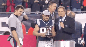 afc championship GIF by NFL
