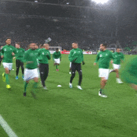 Ligue 1 Football GIF by AS Saint-Étienne
