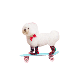 TK_Maxx dog christmas xmas december Sticker