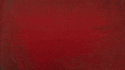 Womens Soccer GIF by Newberry Athletics