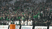 Fighting Hawks Football GIF by University of North Dakota
