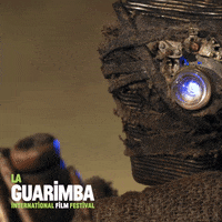 Stop Motion Wtf GIF by La Guarimba Film Festival