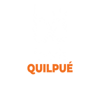 Valparaiso Vinadelmar Sticker by Befoods Chile